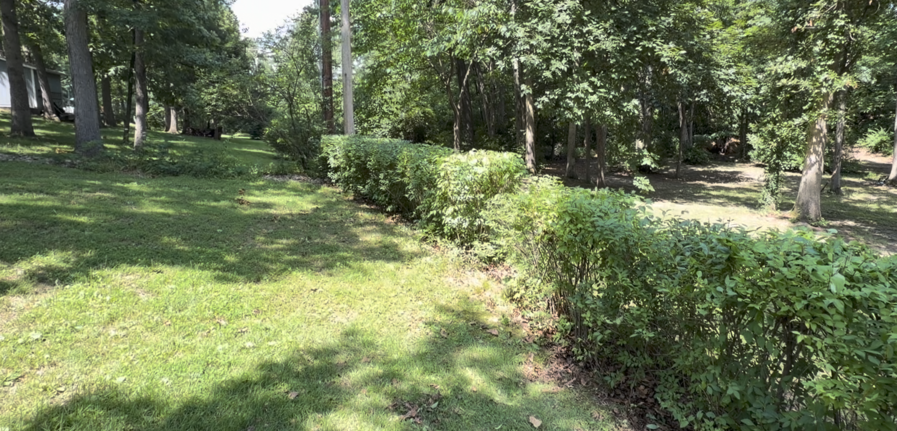 Freshly trimmed shrubs and hedges at a property in Wentzville