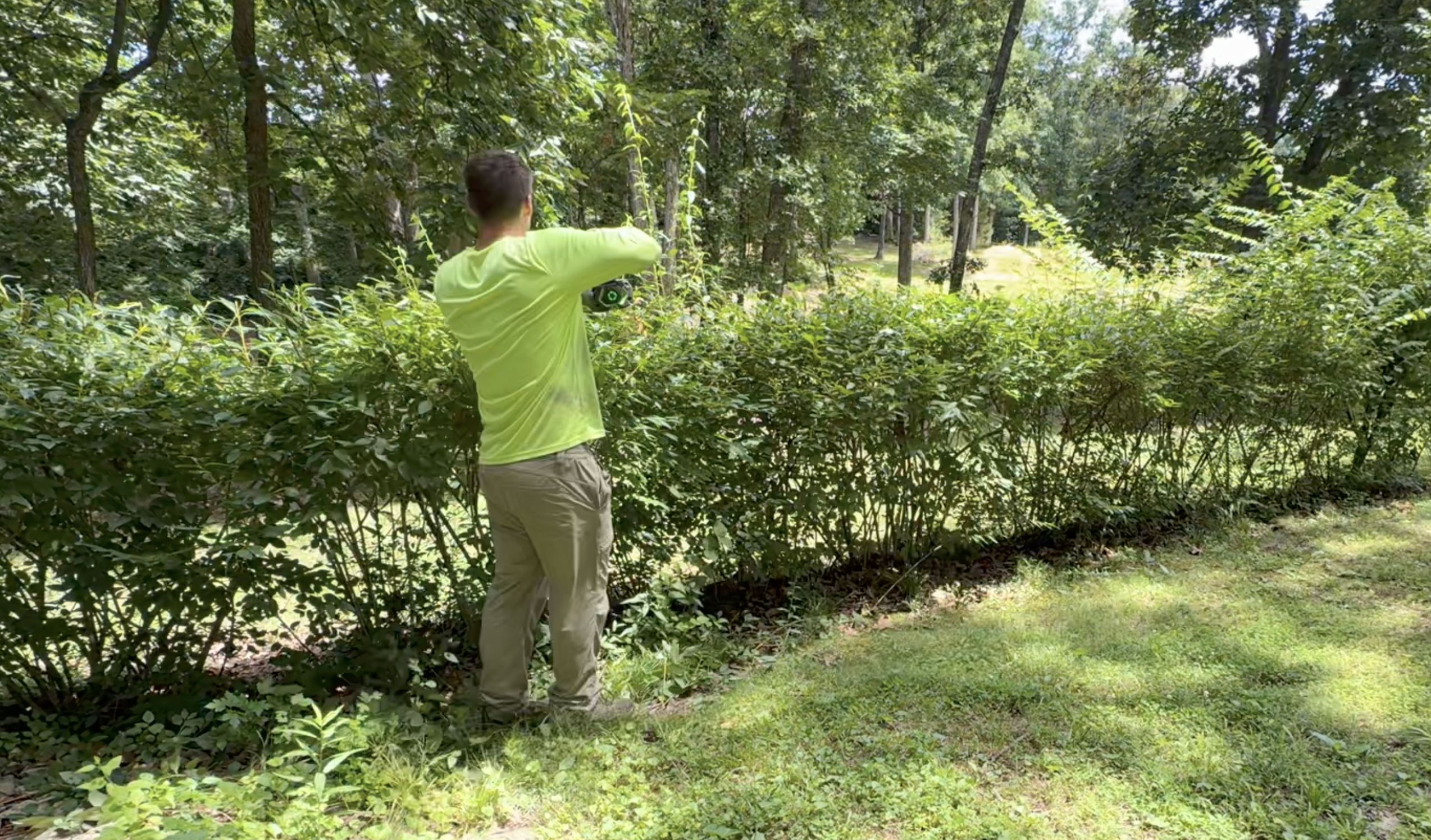 Freshly trimmed shrubs and hedges at a property in Wentzville
